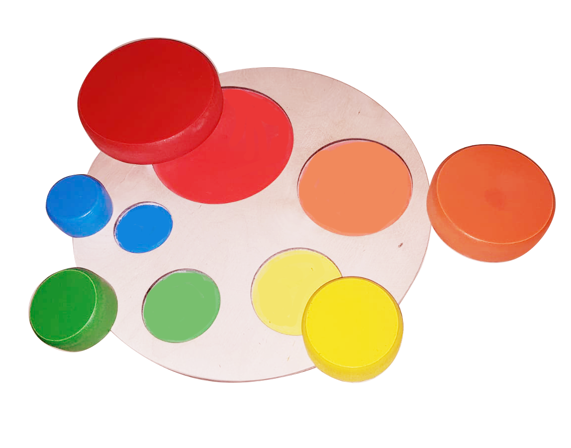 Geometric Puzzle Circles Color and Size Sort