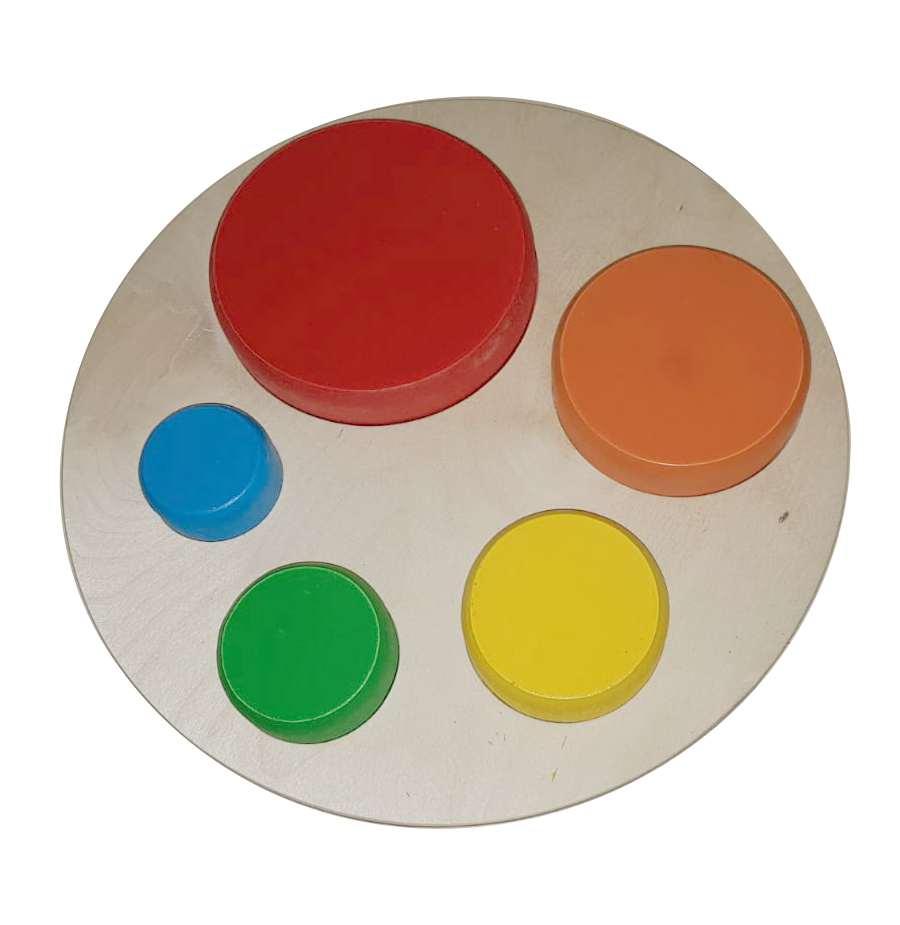 Geometric Puzzle Circles Color and Size Sort