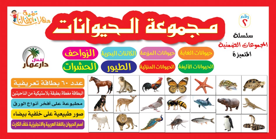 سلسلة المجموعات الضمنية دار عمار Educational Cards