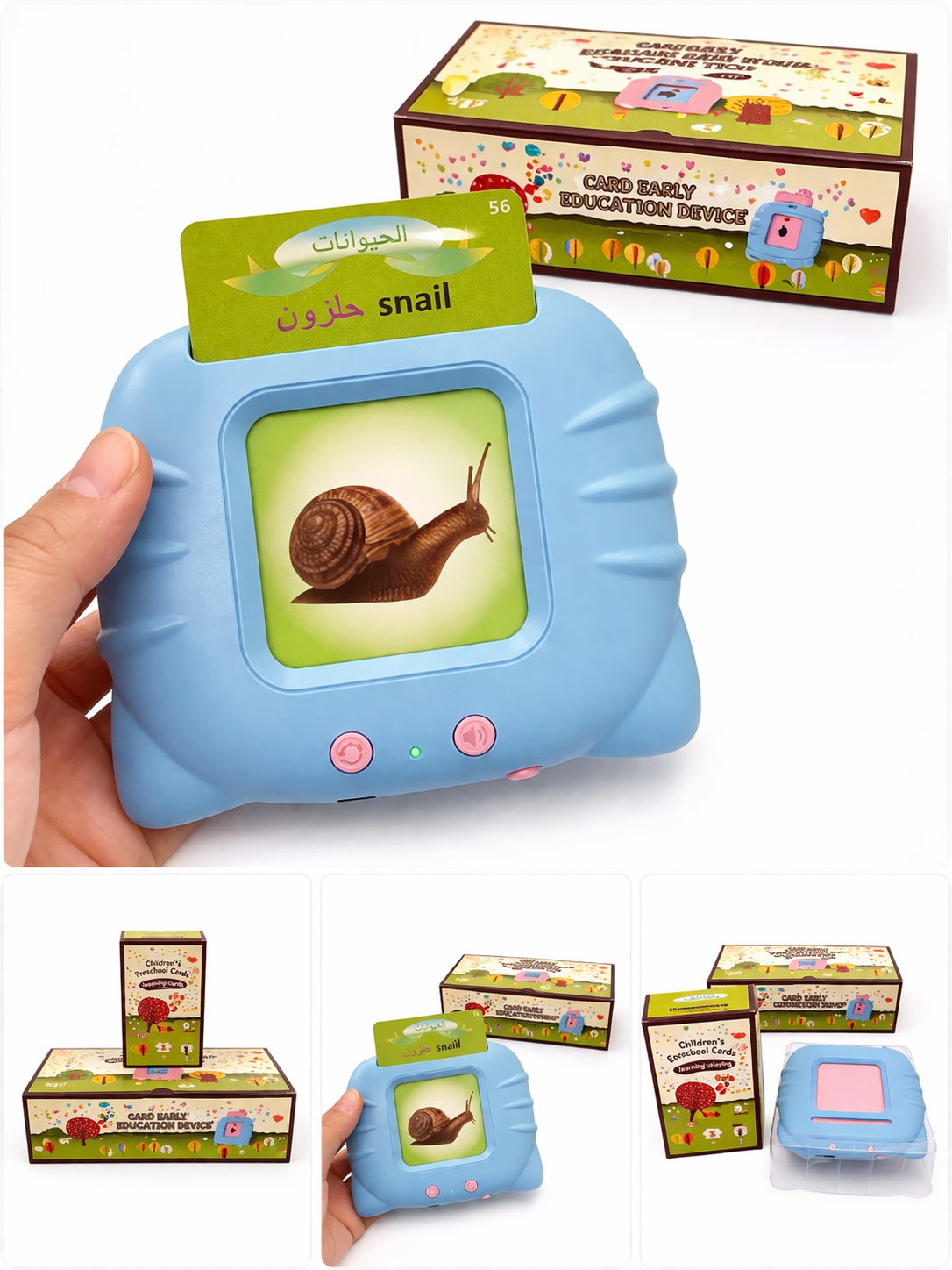 Arabic and english words reader