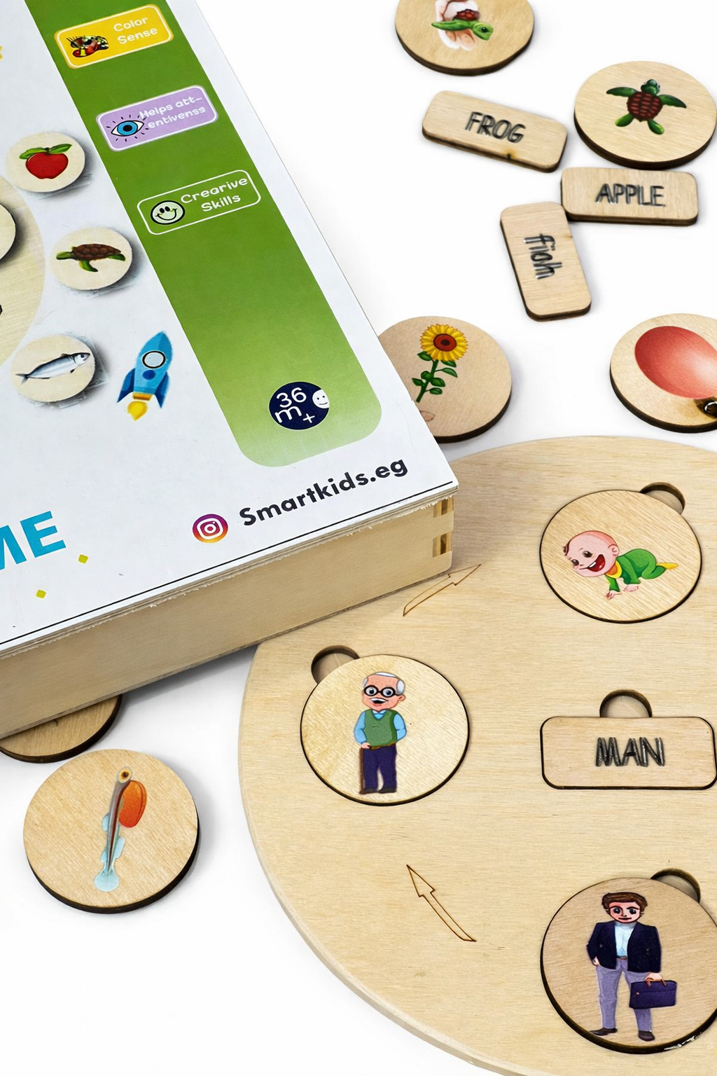 Wooden Life Cycle Matching Game
