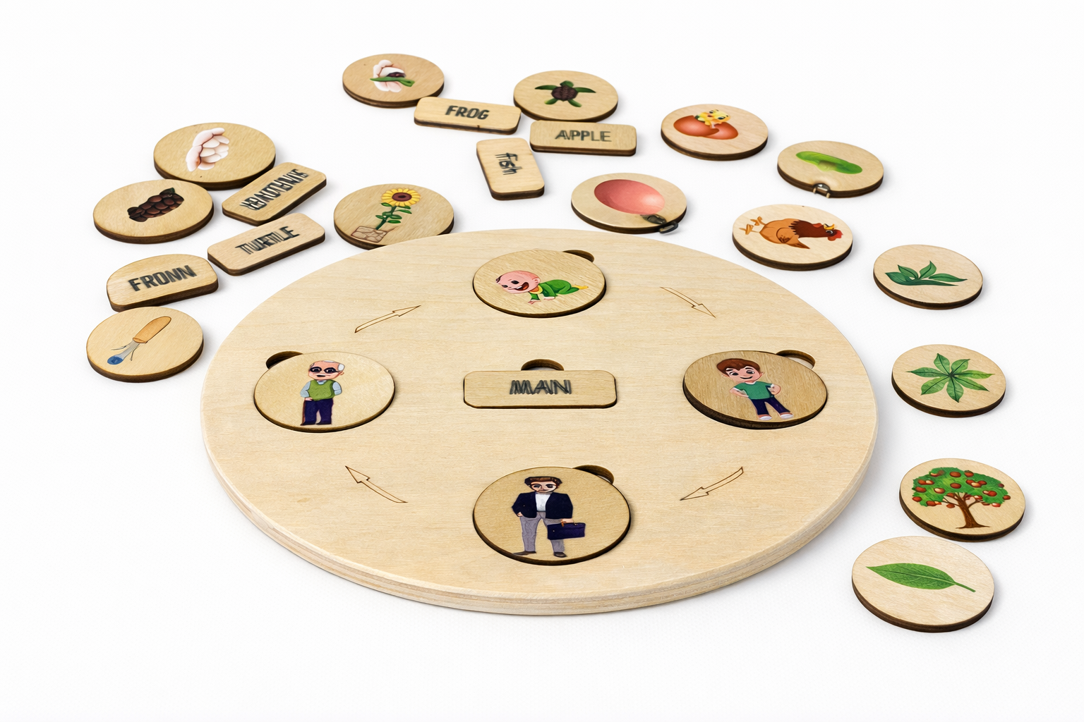 Wooden Life Cycle Matching Game