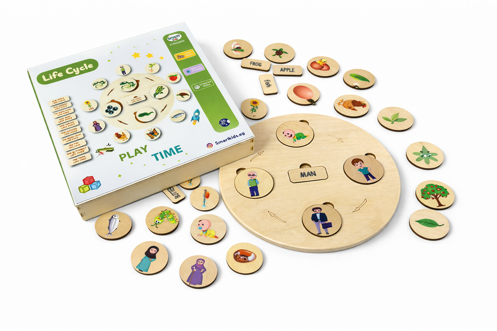 Wooden Life Cycle Matching Game