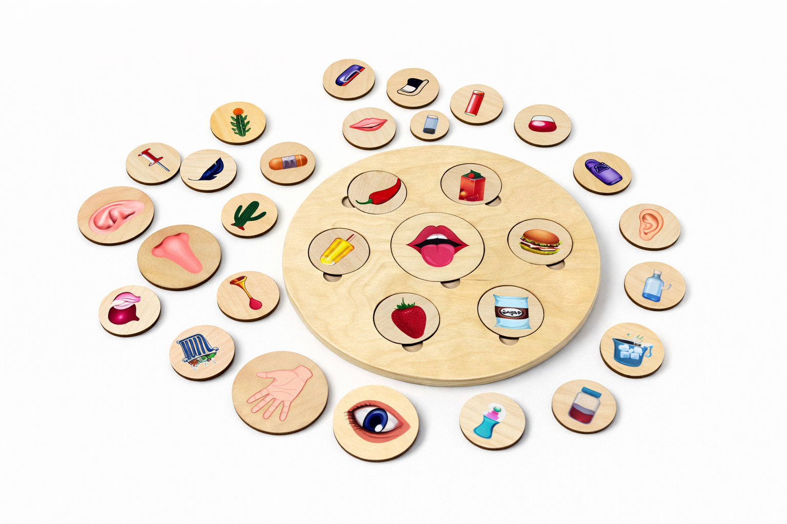 Five Senses Sorting Board