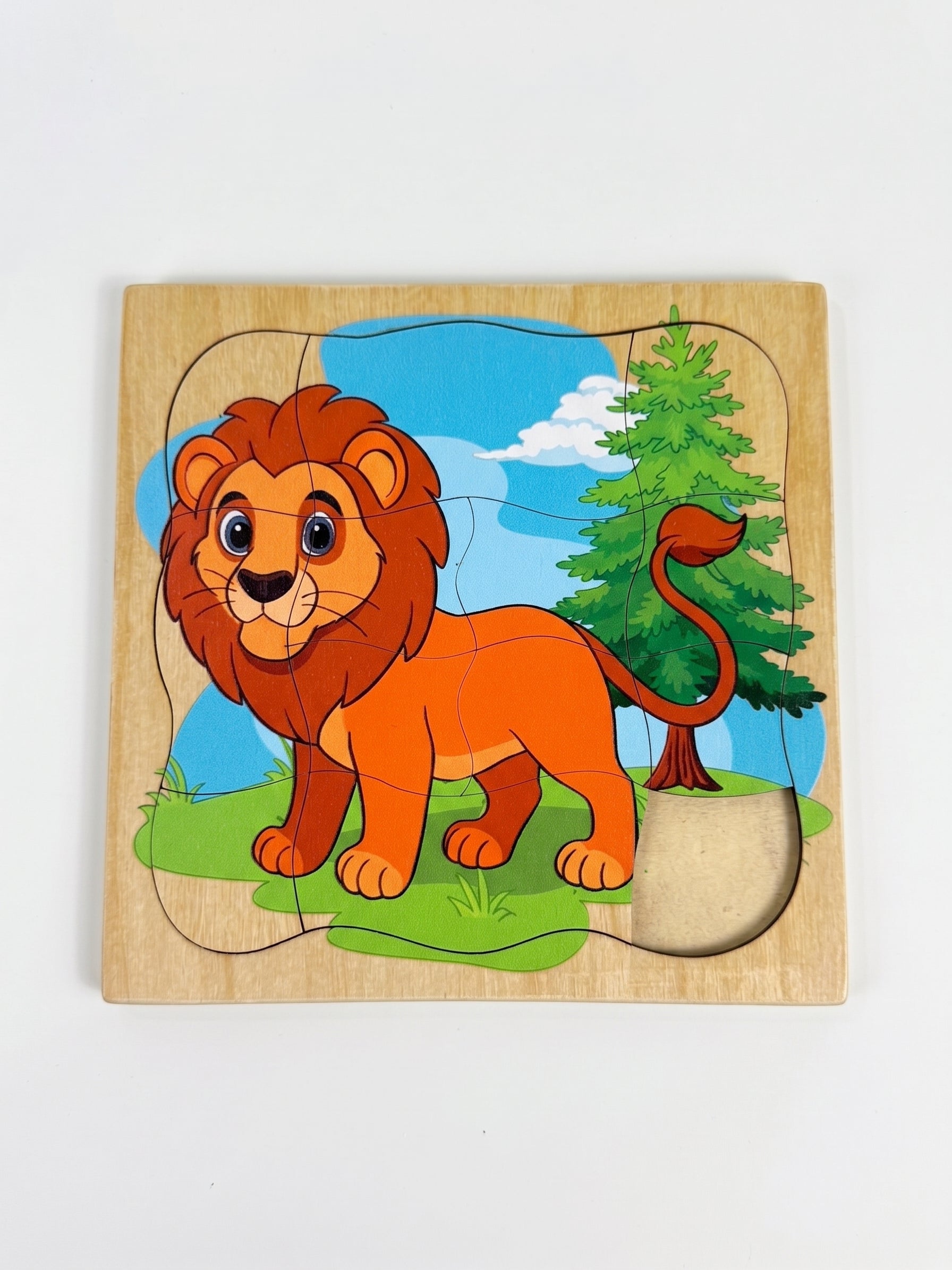 14 pieces Natural wood puzzel