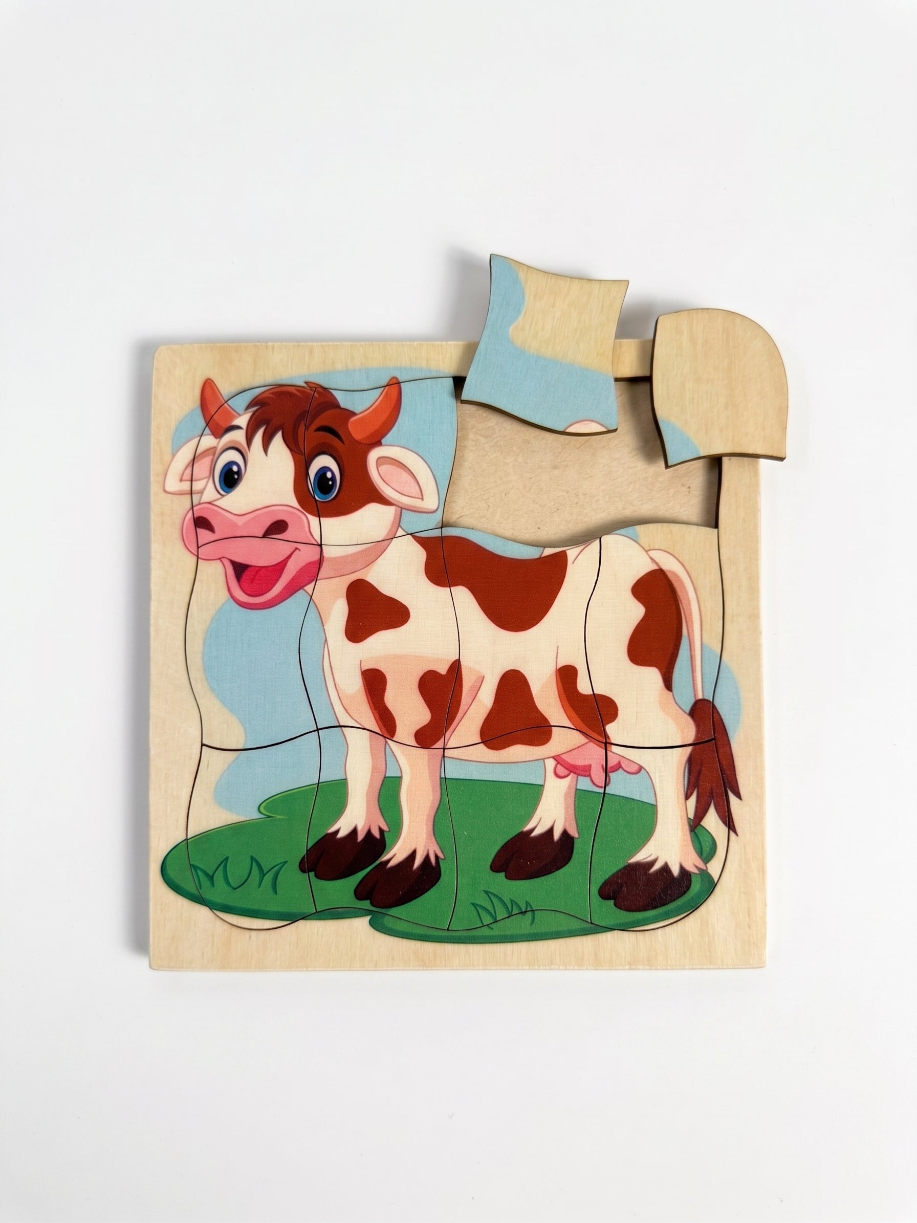 12 Pieces Natural wood puzzel
