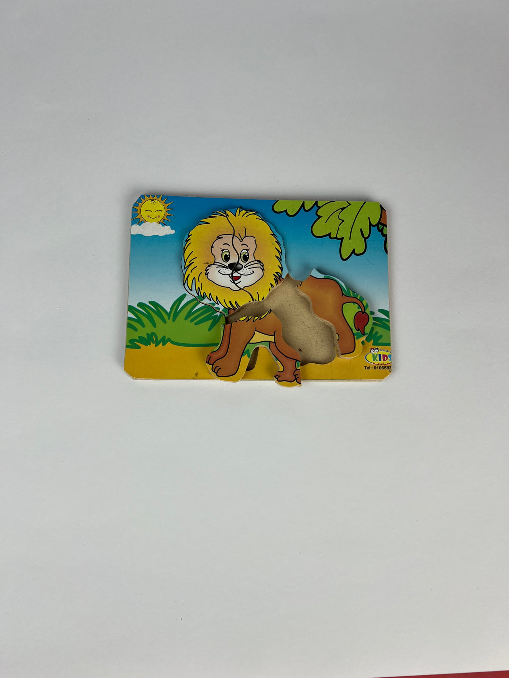 4 Pcs Puzzle ( Lion )