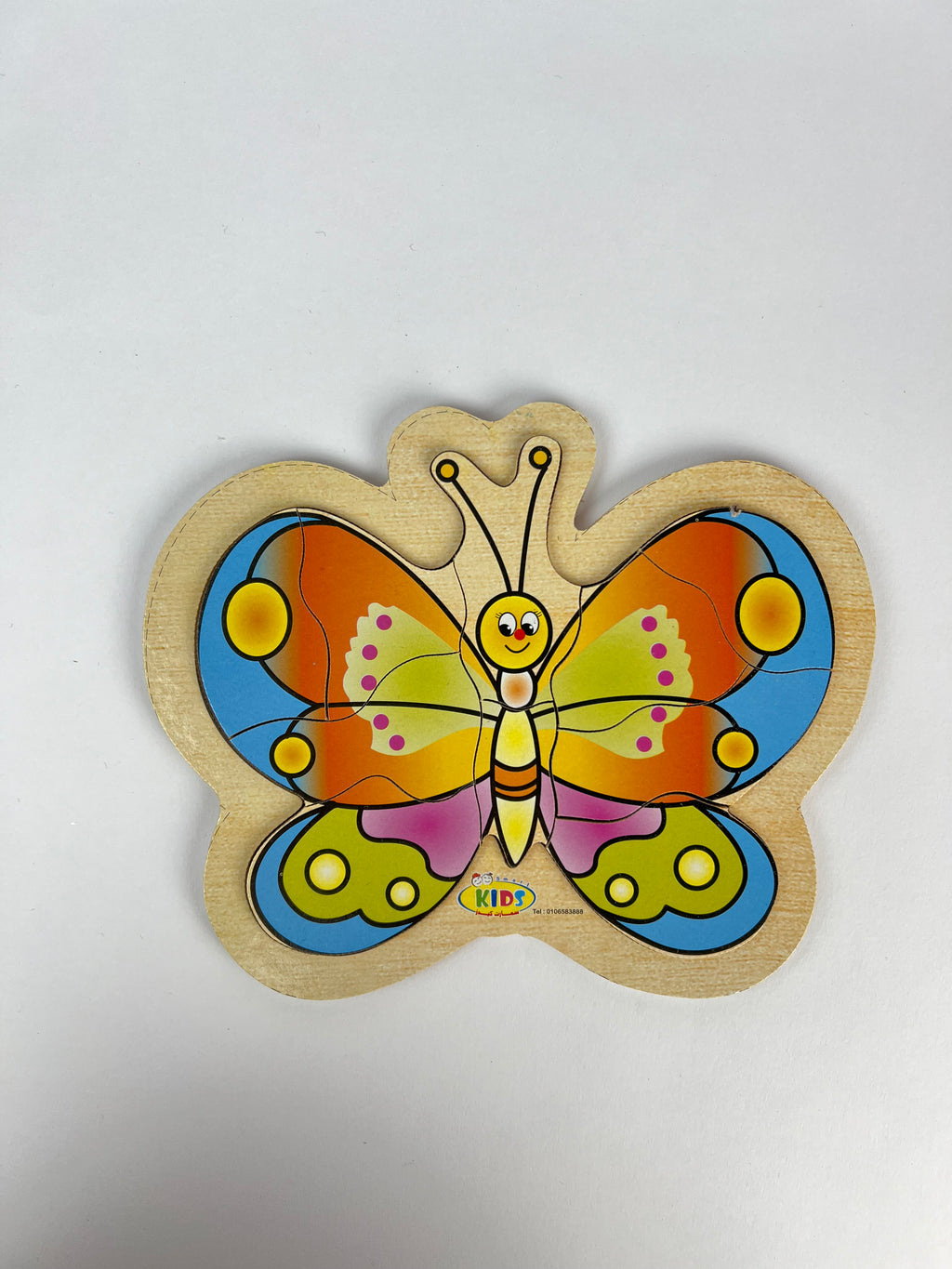 10 Pcs Puzzle ( Butterfly )