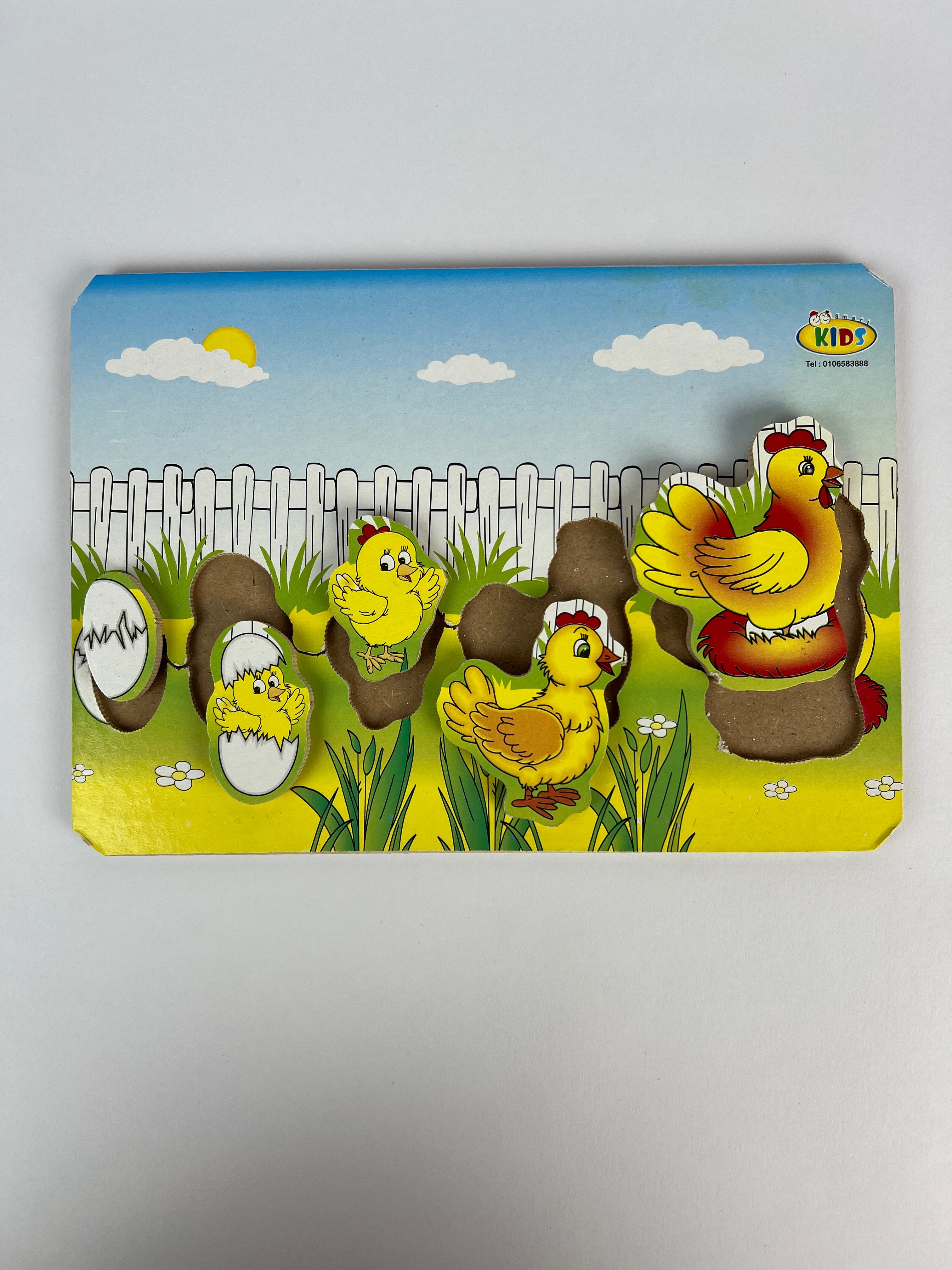 Life Stages Wooden Puzzle