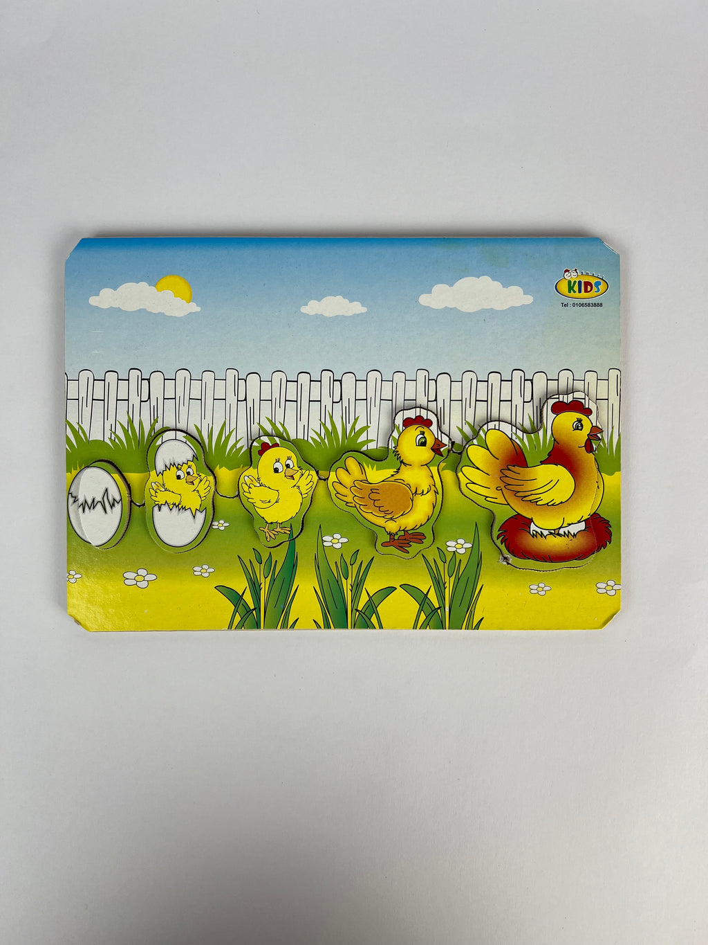 Life Stages Wooden Puzzle