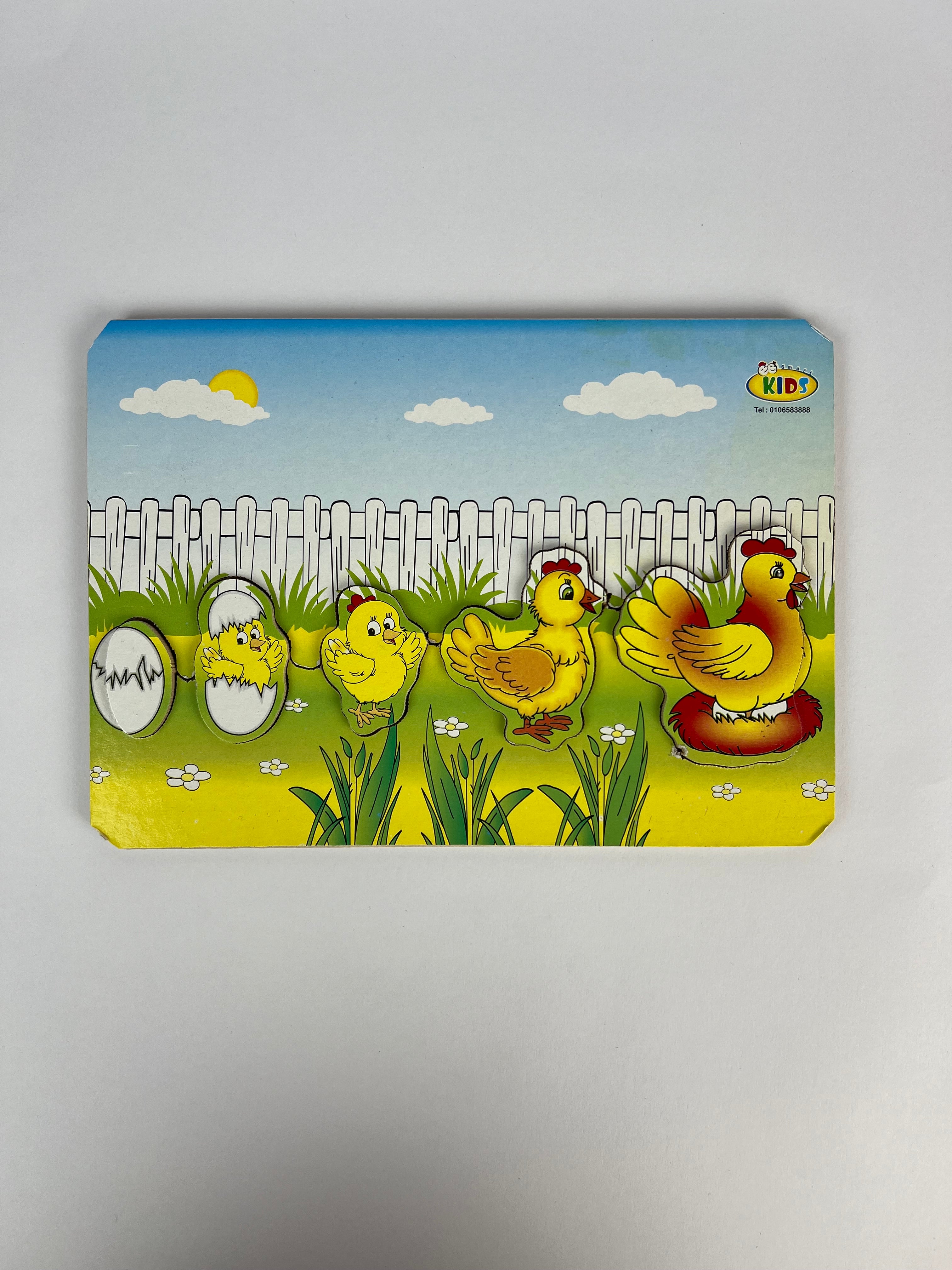 Life Stages Wooden Puzzle