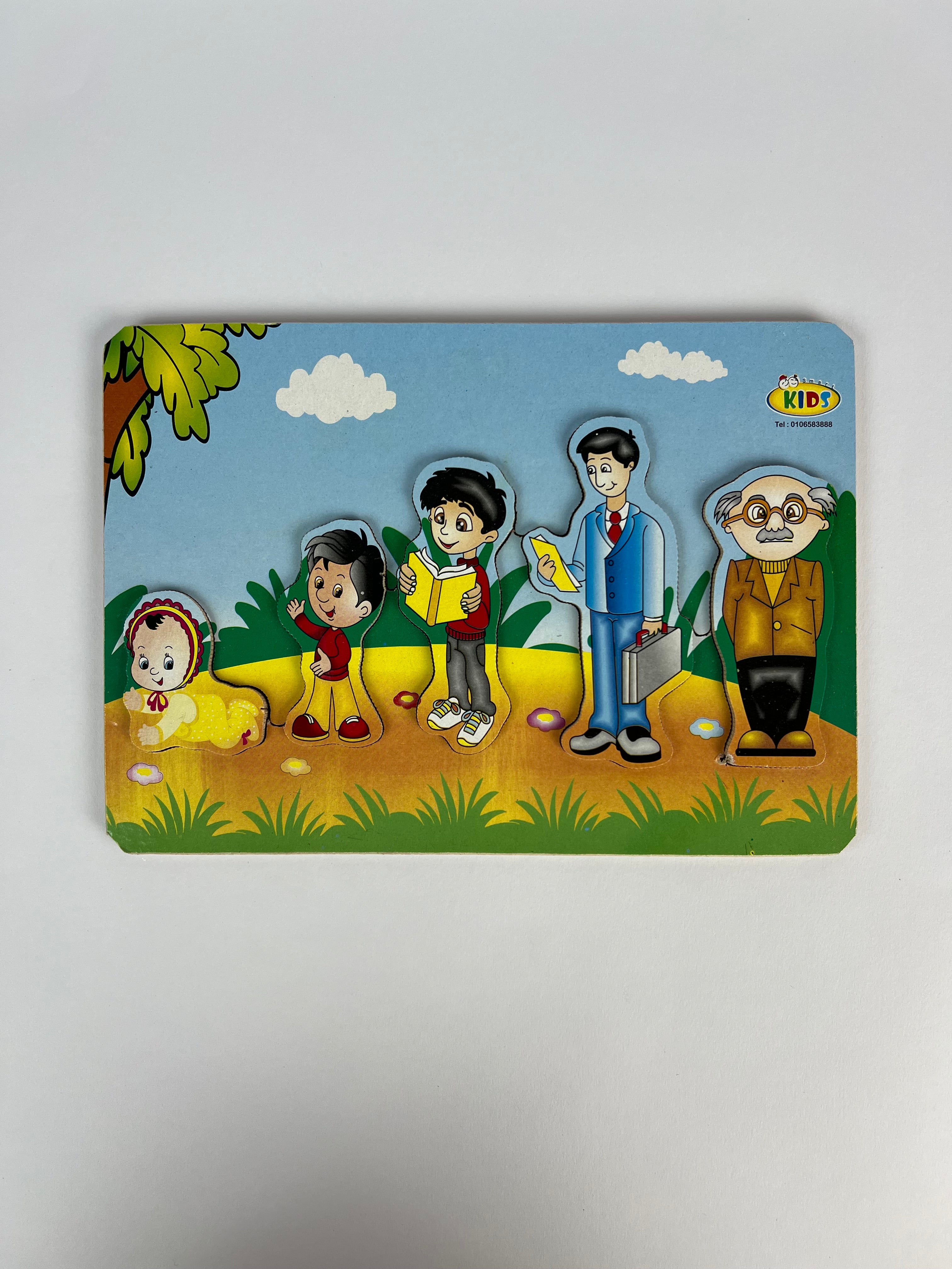 Life Stages Wooden Puzzle