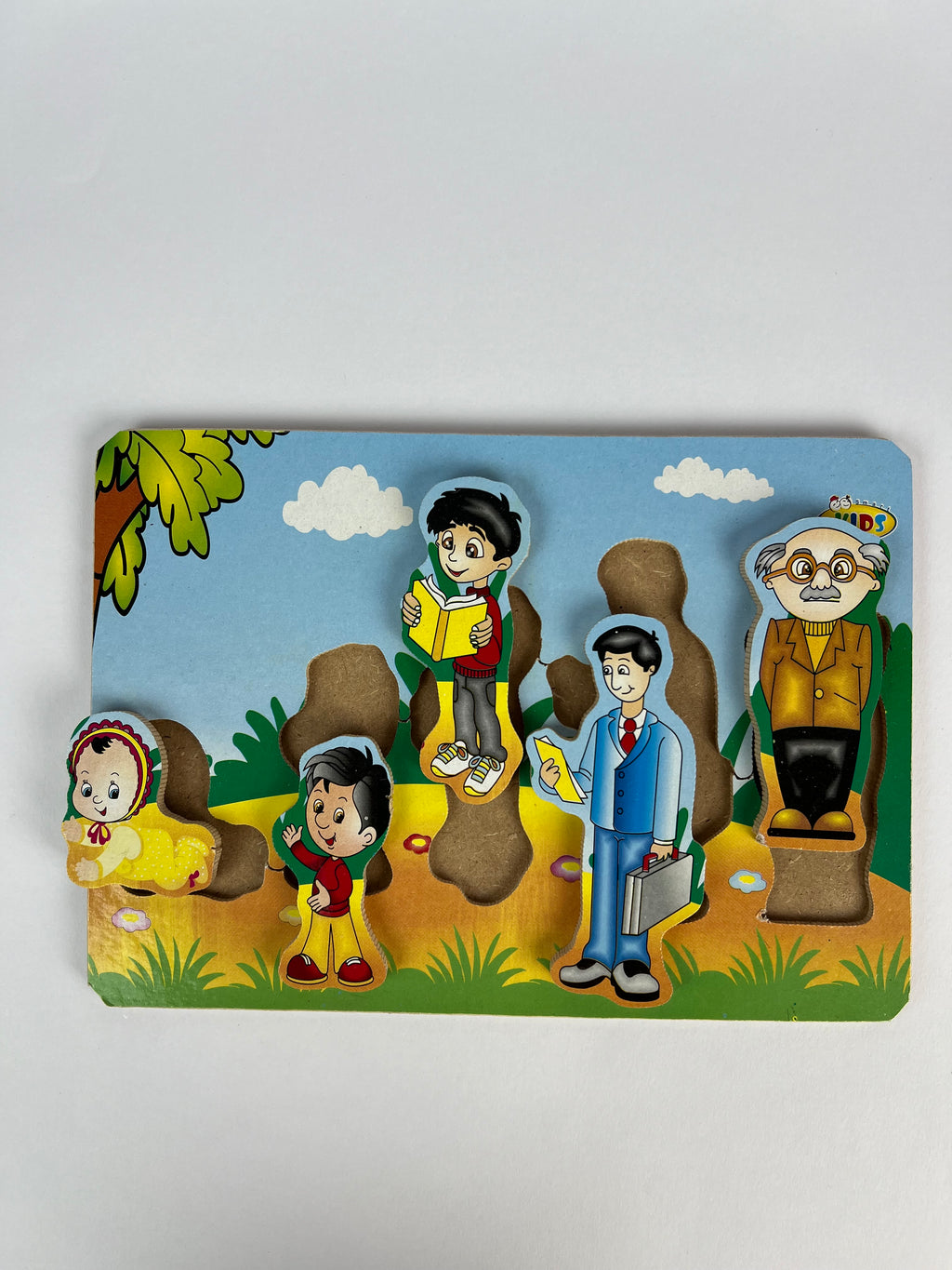 Life Stages Wooden Puzzle