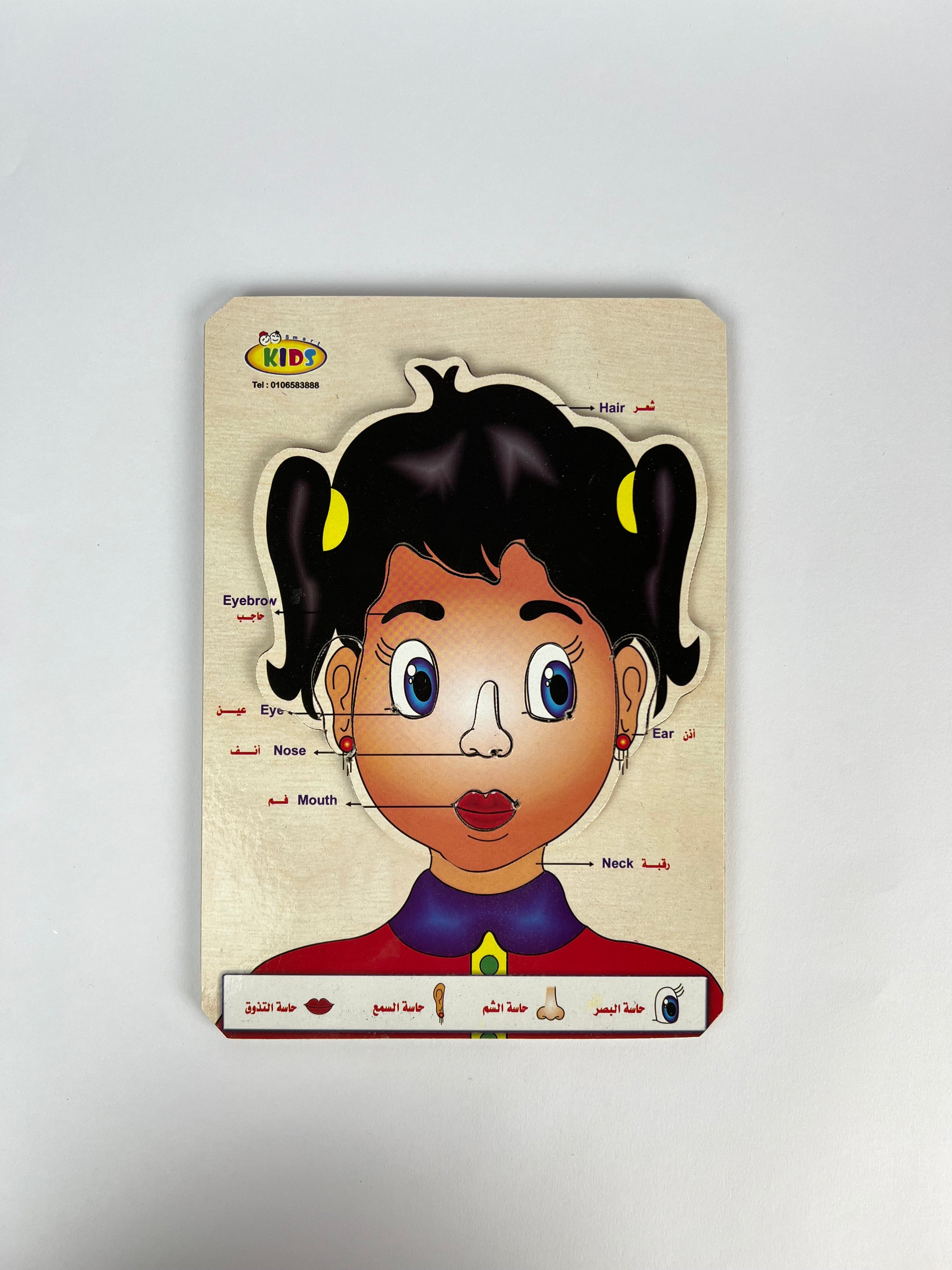 Human Body and Face Parts Puzzle ( Small )