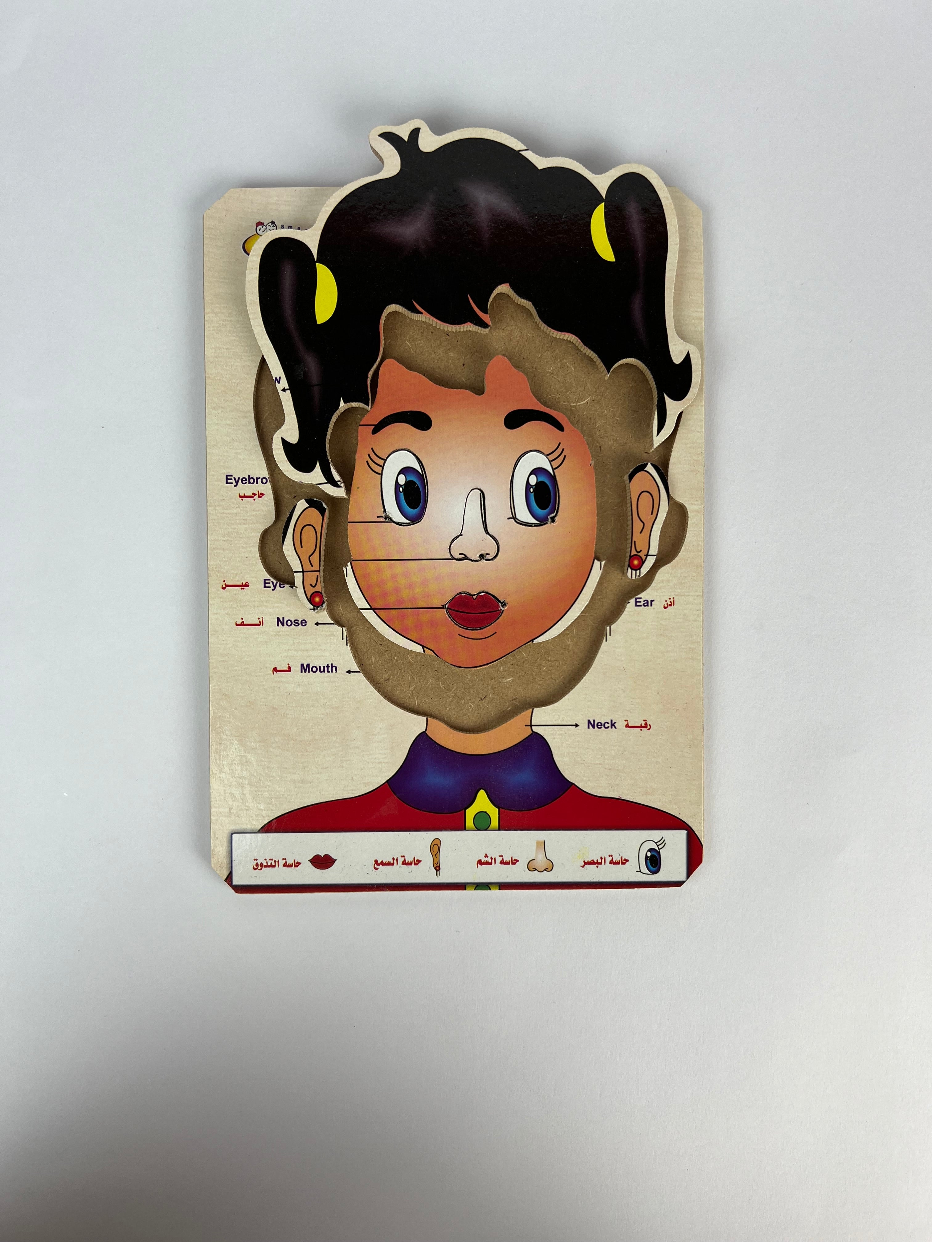 Human Body and Face Parts Puzzle ( Small )