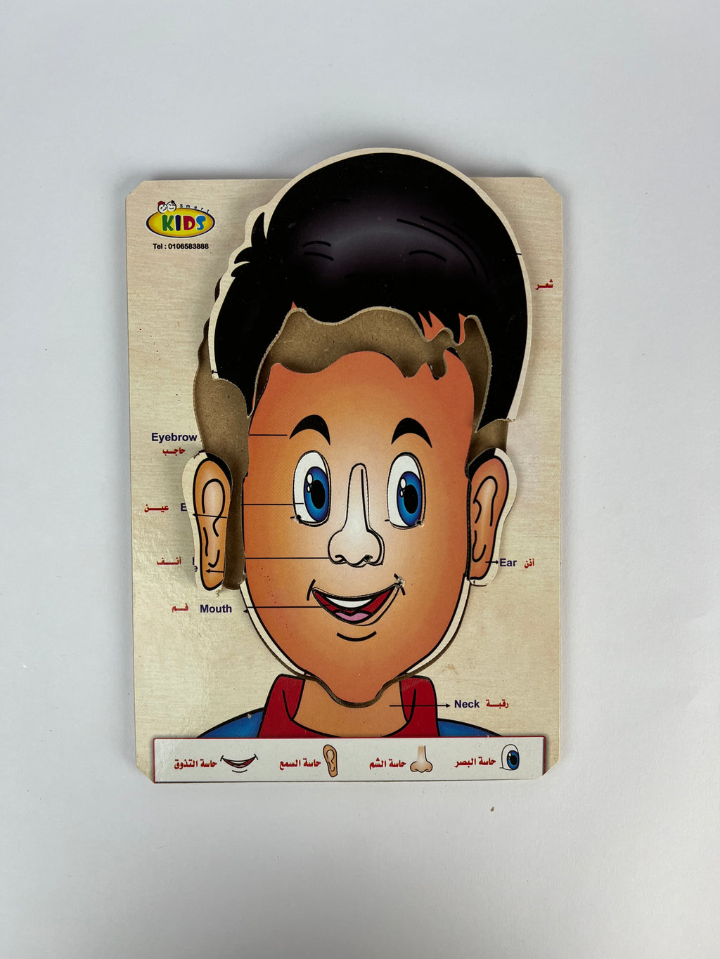 Human Body and Face Parts Puzzle ( Small )