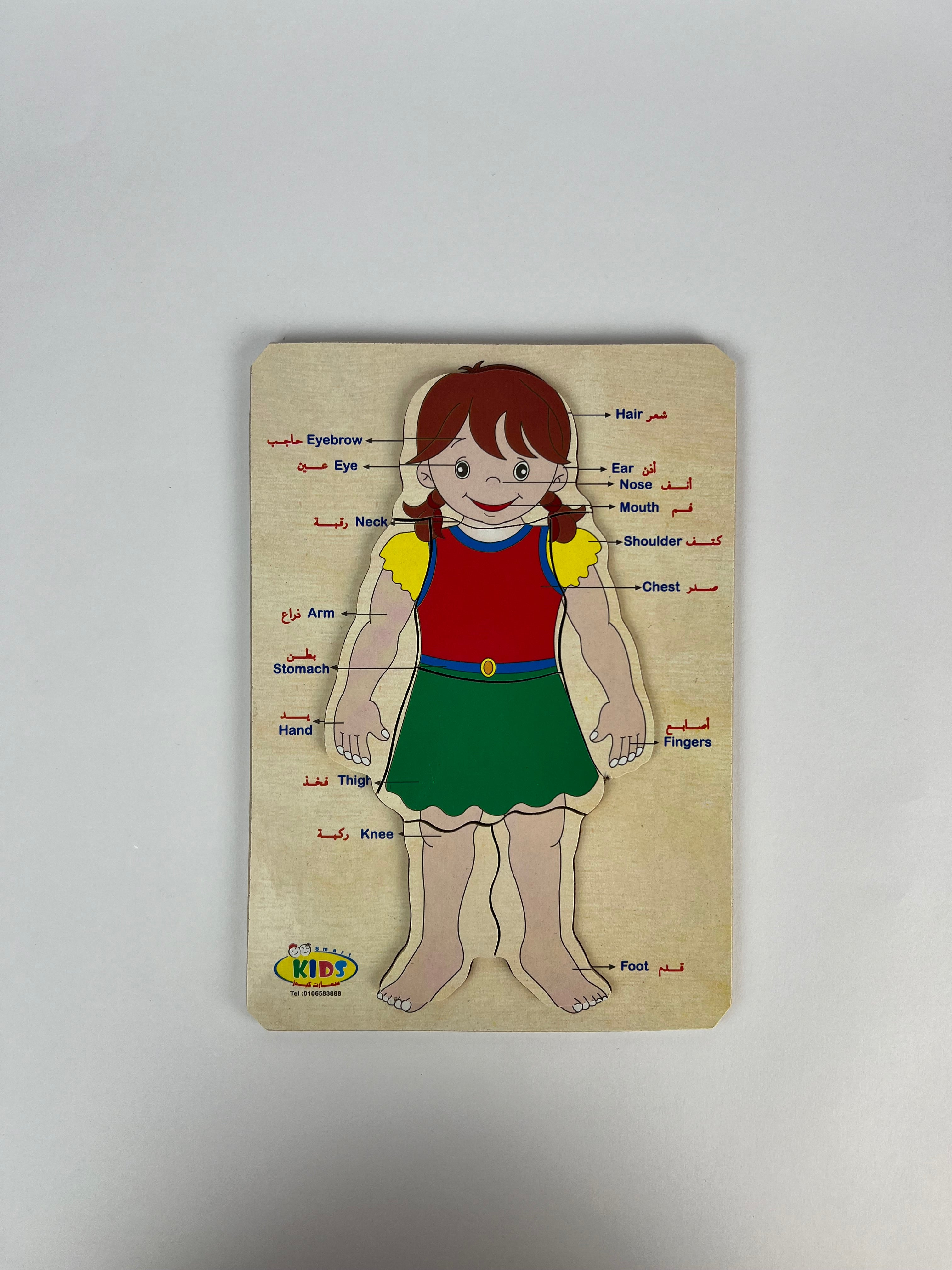 Human Body and Face Parts Puzzle ( Small )