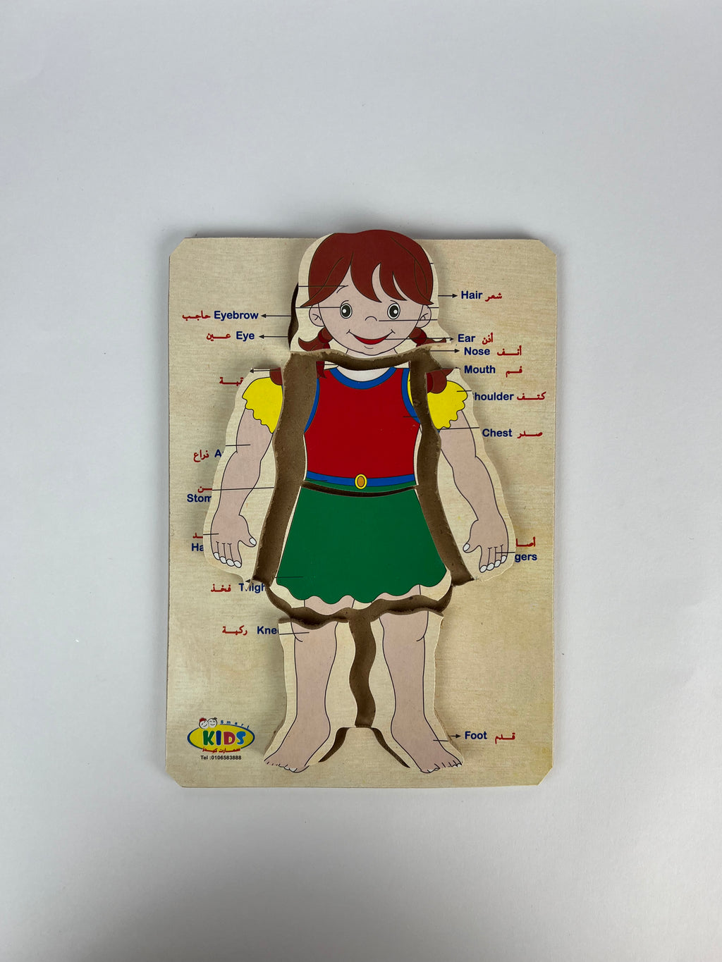 Human Body and Face Parts Puzzle ( Small )