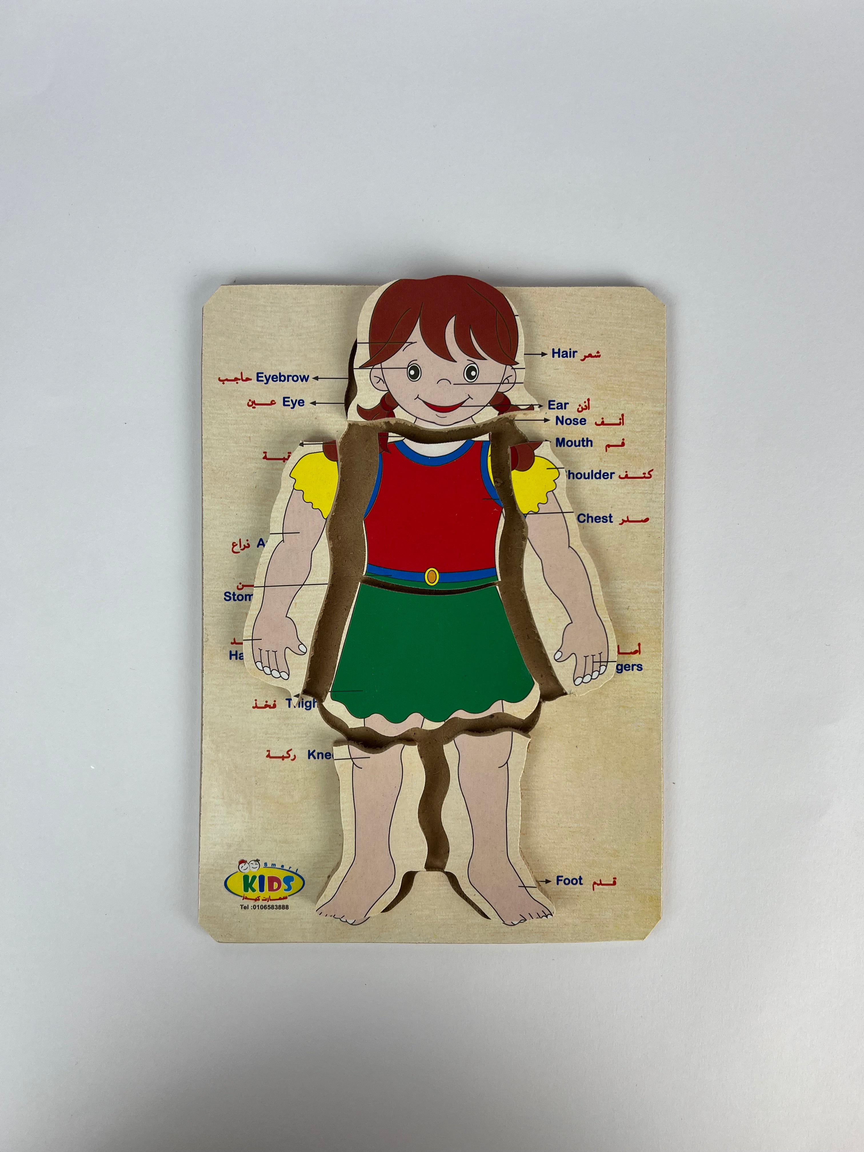 Human Body and Face Parts Puzzle ( Small )