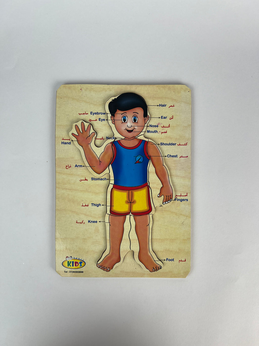 Human Body and Face Parts Puzzle ( Small )