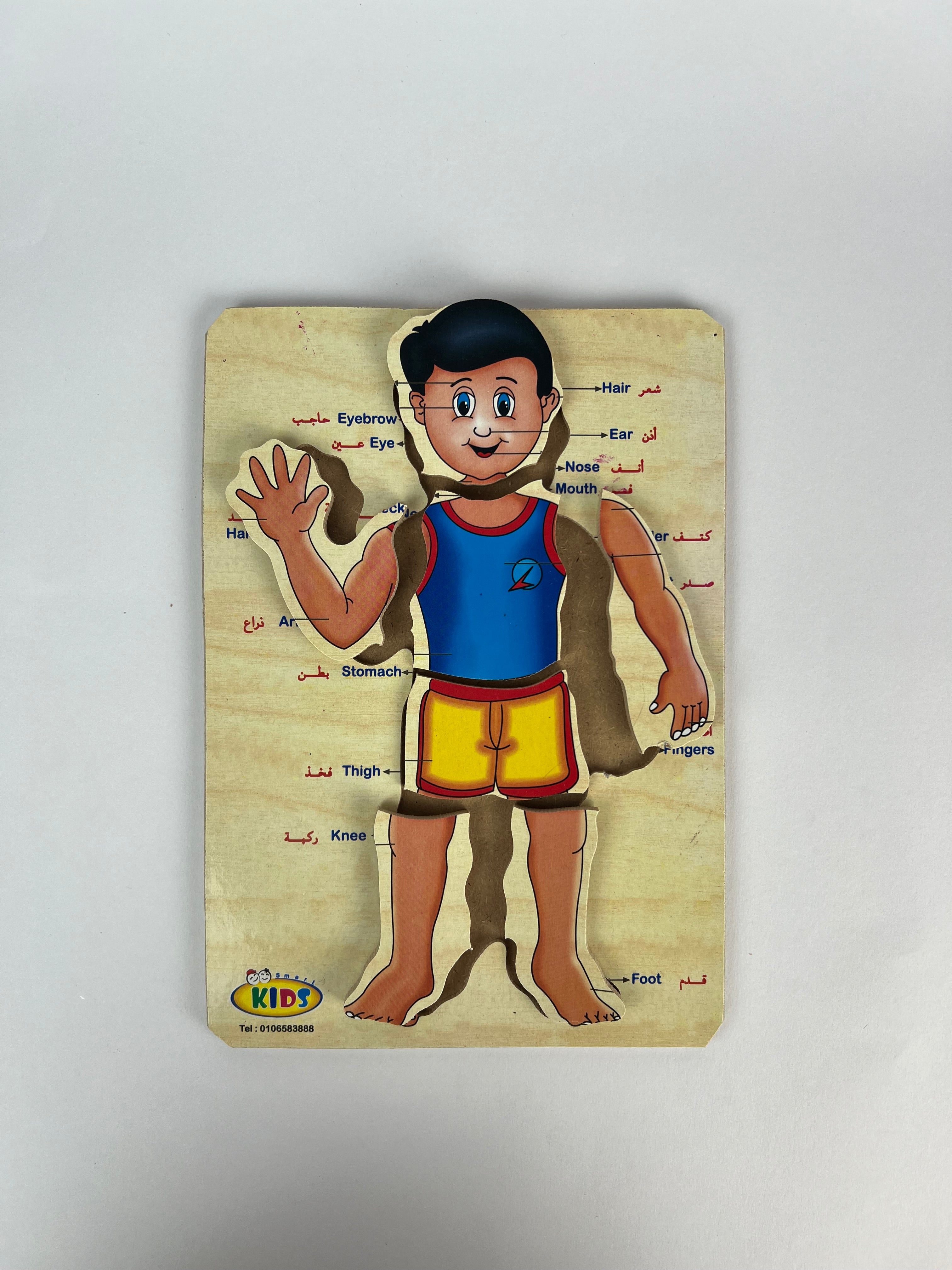 Human Body and Face Parts Puzzle ( Small )