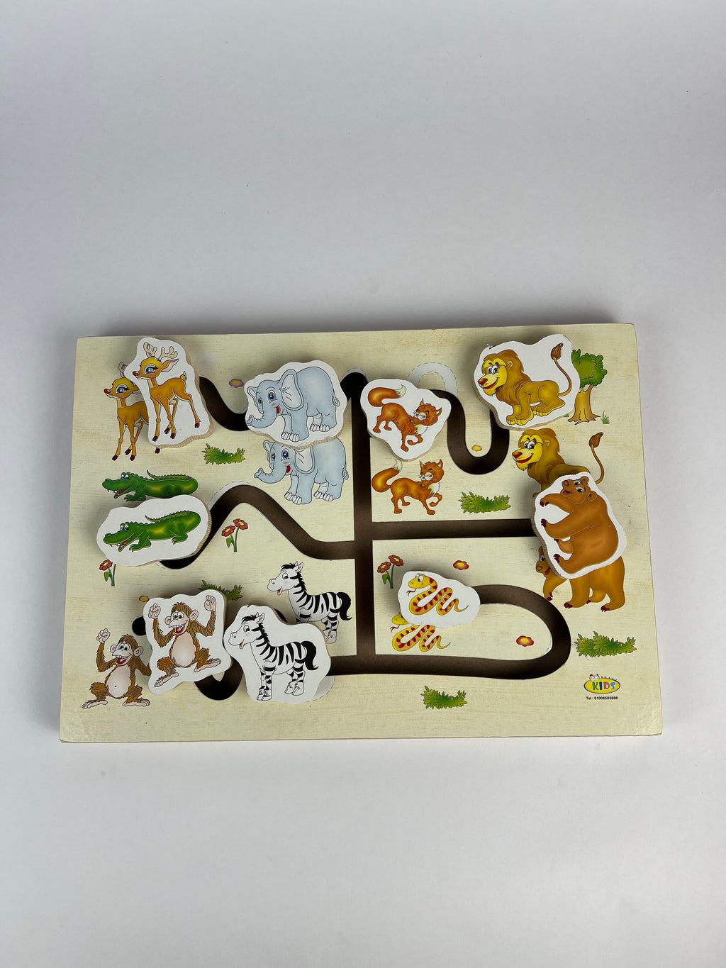 Wild Animals Maze