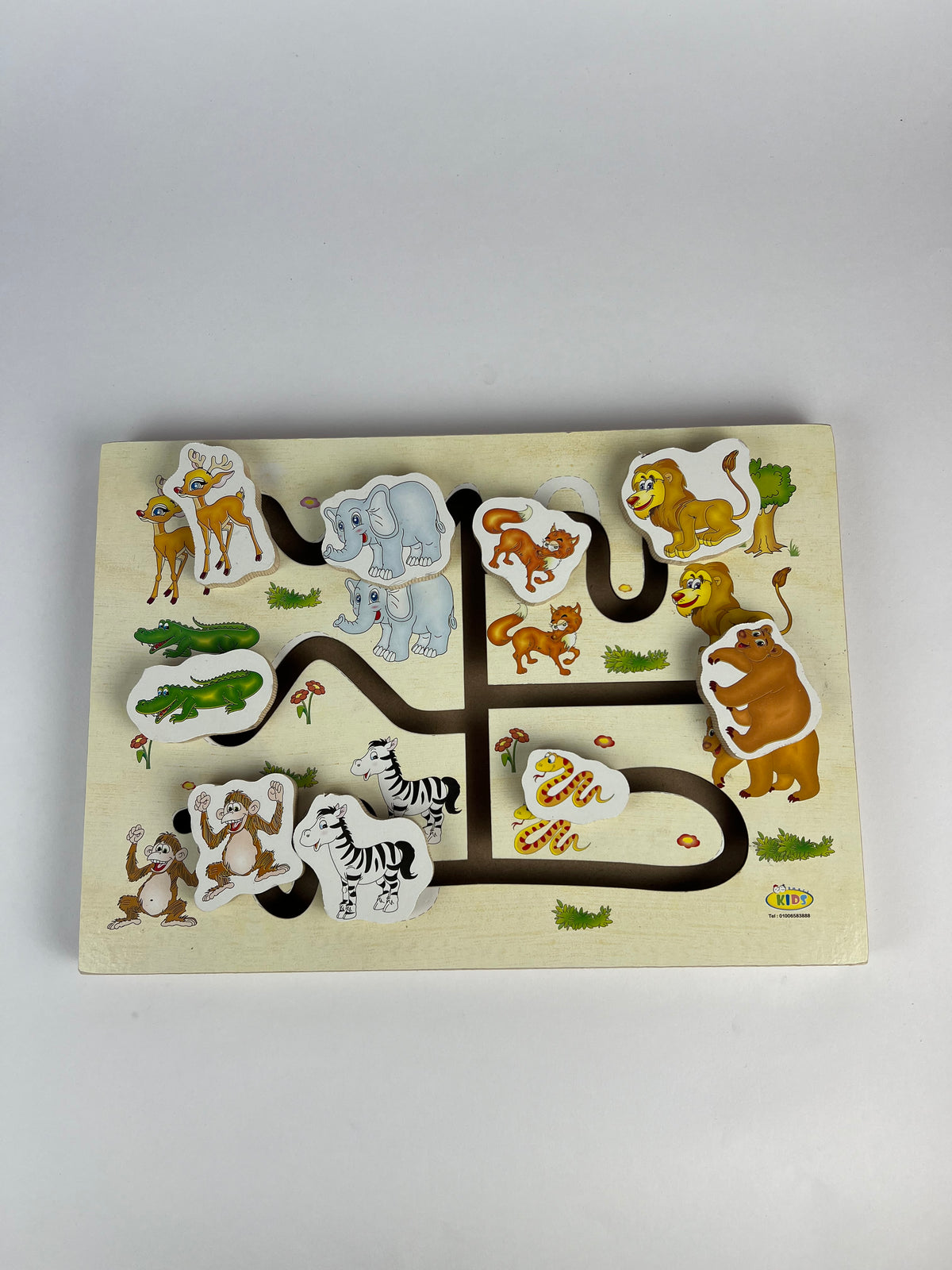 Wild Animals Maze