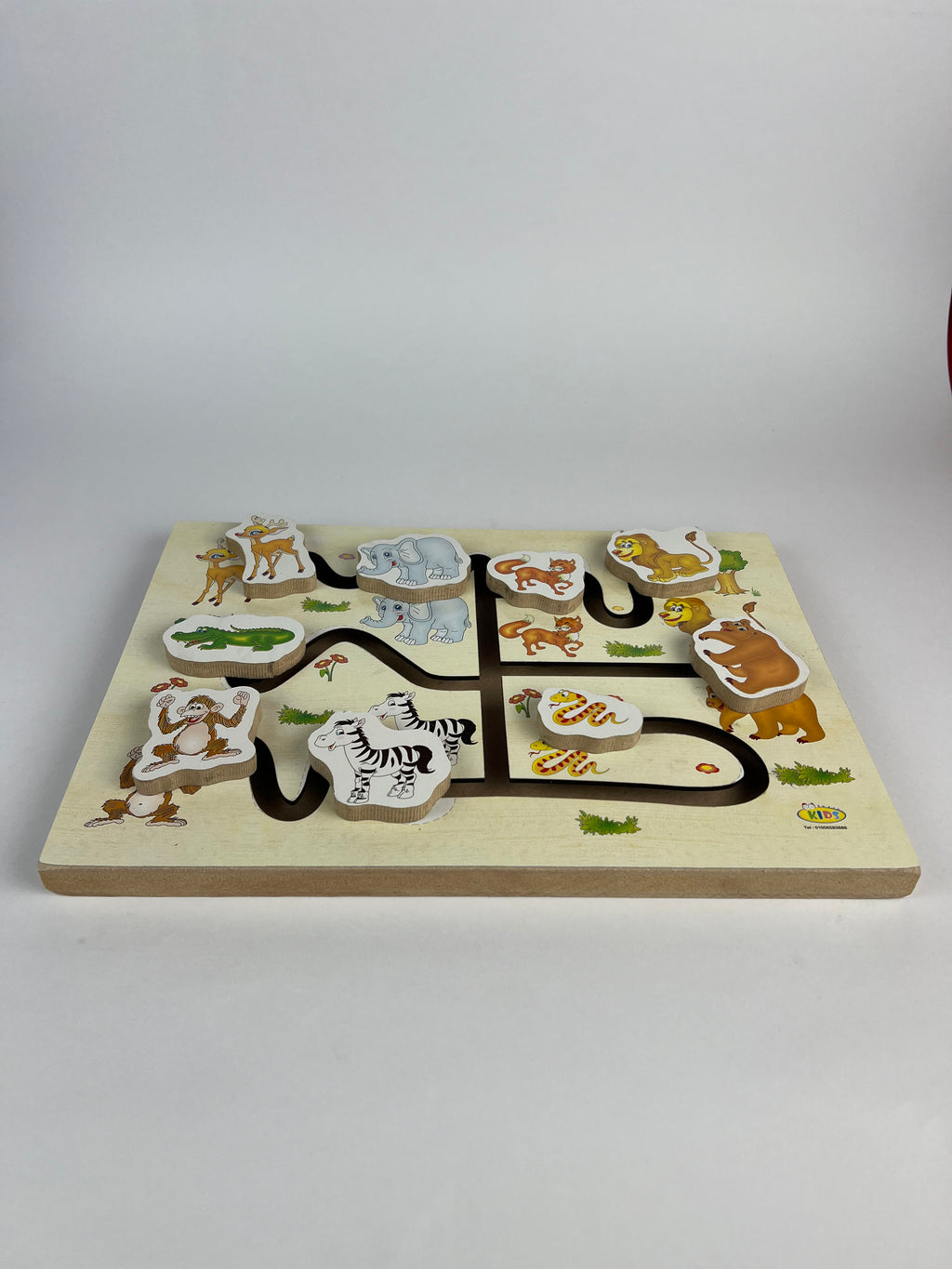 Wild Animals Maze