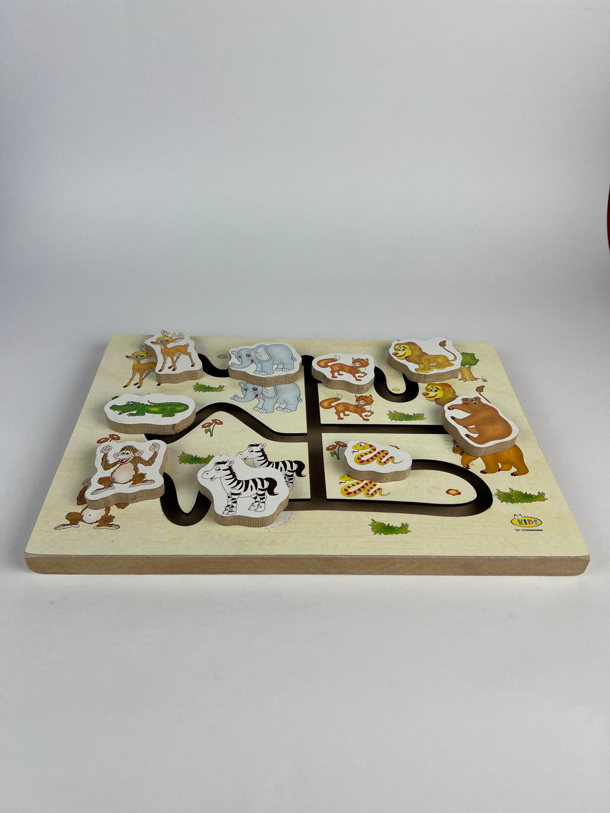 Wild Animals Maze