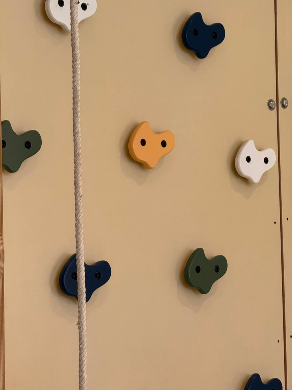 Kids Indoor Climbing & Gymnastics Wall