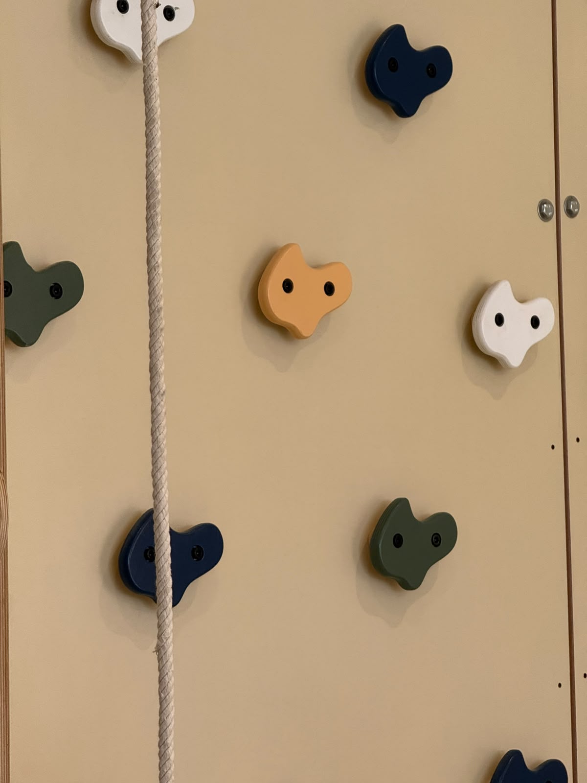 Kids Indoor Climbing & Gymnastics Wall